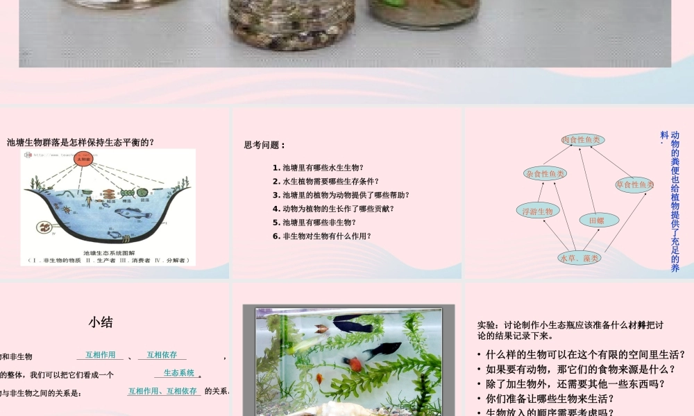 五年级科学上册 第13课《做个小生态瓶》课件（1） 鄂教版-鄂教版小学五年级上册自然科学课件