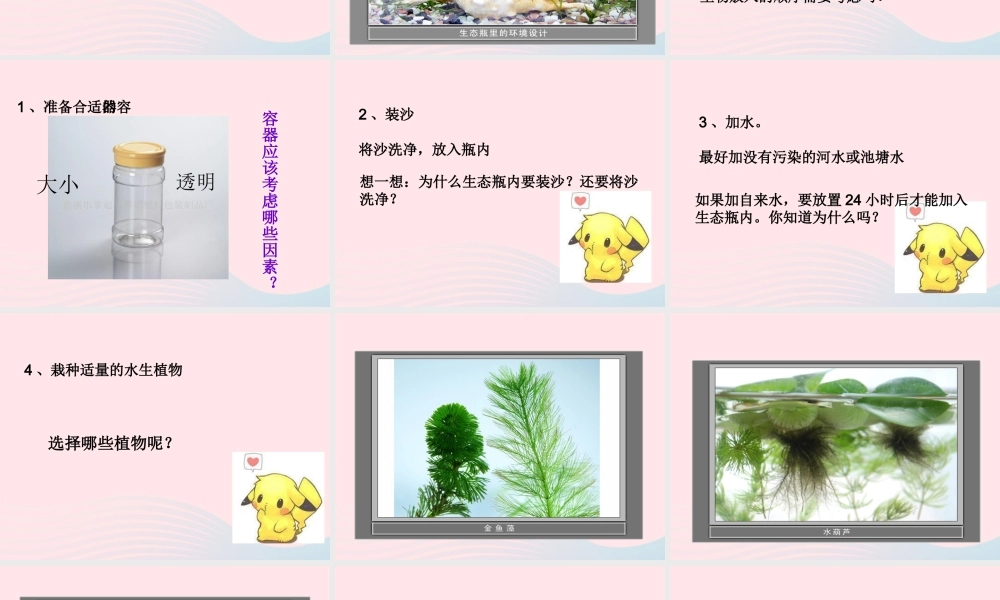 五年级科学上册 第13课《做个小生态瓶》课件（1） 鄂教版-鄂教版小学五年级上册自然科学课件