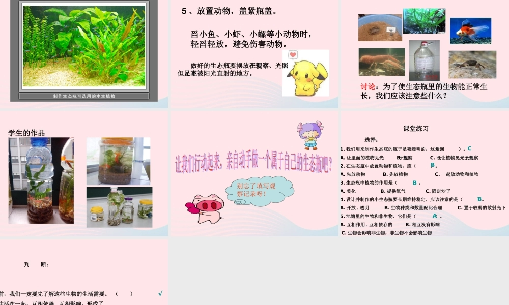 五年级科学上册 第13课《做个小生态瓶》课件（1） 鄂教版-鄂教版小学五年级上册自然科学课件