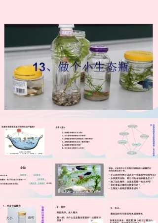 五年级科学上册 第13课《做个小生态瓶》课件（1） 鄂教版-鄂教版小学五年级上册自然科学课件