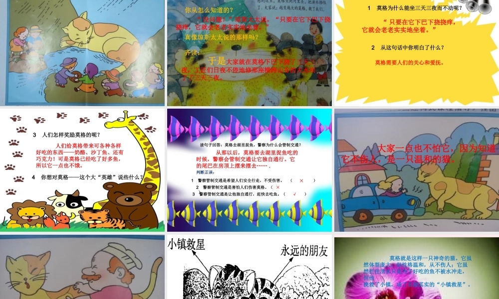 二年级语文下册 课文6 第18课《面包房里的猫（二）》课件 鄂教版-鄂教版小学二年级下册语文课件