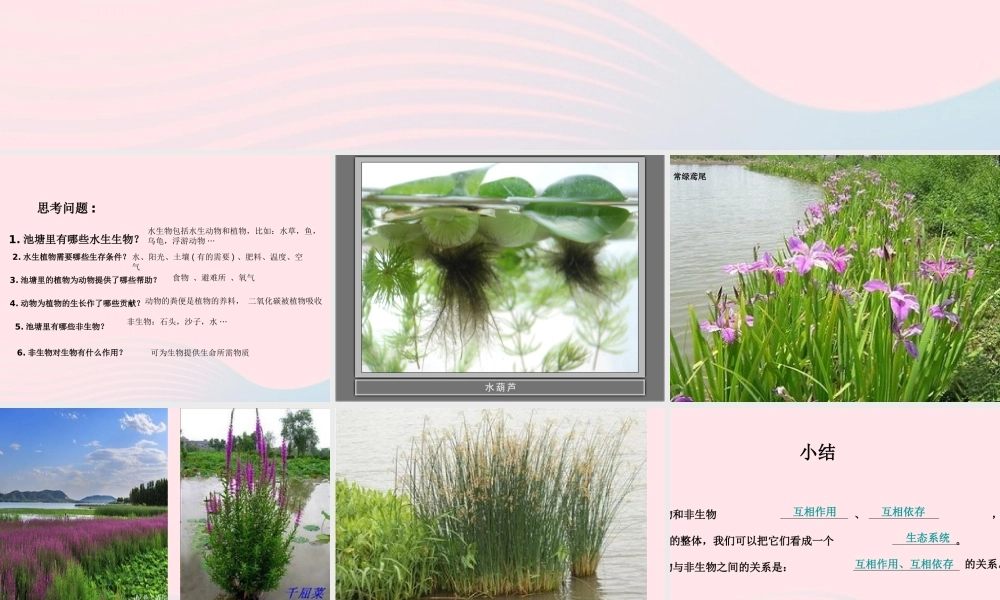 五年级科学上册 第13课《做个小生态瓶》课件（2） 鄂教版-鄂教版小学五年级上册自然科学课件