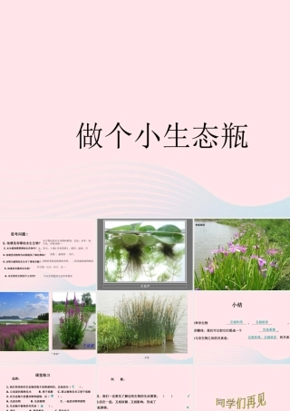 五年级科学上册 第13课《做个小生态瓶》课件（2） 鄂教版-鄂教版小学五年级上册自然科学课件