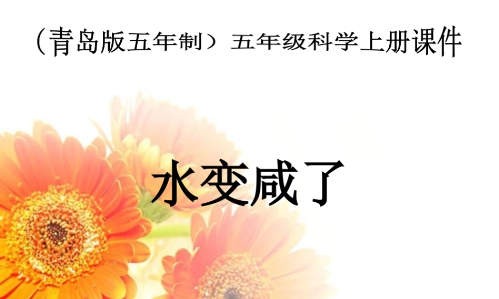 五年级科学上册 第14课 水变咸了课件2 青岛版-青岛版小学五年级上册自然科学课件