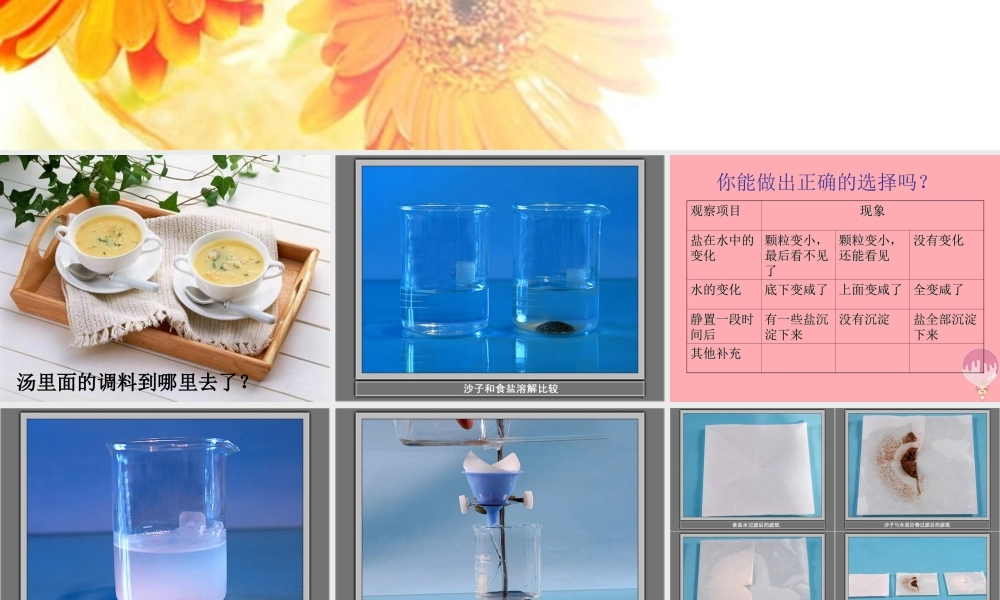 五年级科学上册 第14课 水变咸了课件2 青岛版-青岛版小学五年级上册自然科学课件