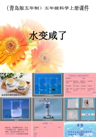 五年级科学上册 第14课 水变咸了课件2 青岛版-青岛版小学五年级上册自然科学课件