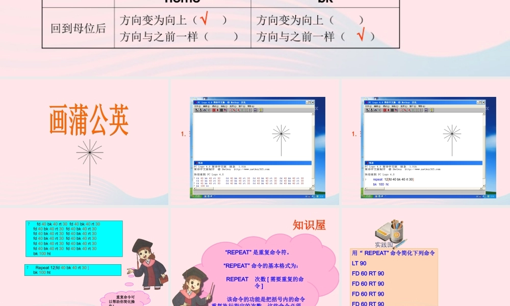 五年级信息技术上册 第4课《画蒲公英》课件2 苏科版-苏科版小学五年级上册信息技术课件