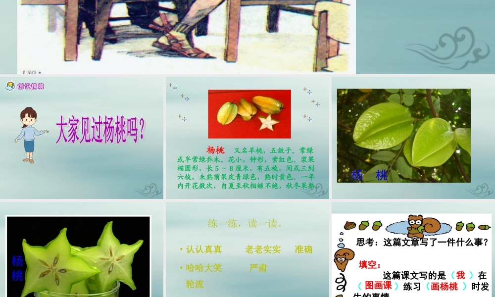 二年级语文下册 第五单元 课文4 13 画杨桃教学课件 新人教版-新人教版小学二年级下册语文课件