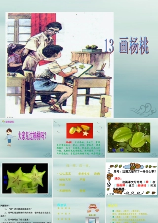 二年级语文下册 第五单元 课文4 13 画杨桃教学课件 新人教版-新人教版小学二年级下册语文课件
