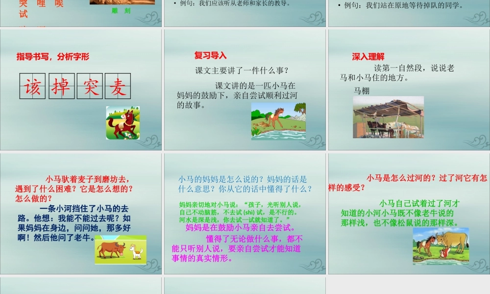 二年级语文下册 第五单元 课文4 14 小马过河教学课件 新人教版-新人教版小学二年级下册语文课件