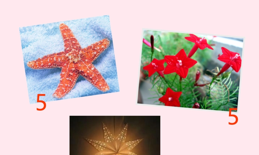 五年级信息技术上册 第6课《画星星》课件1 苏科版-苏科版小学五年级上册信息技术课件