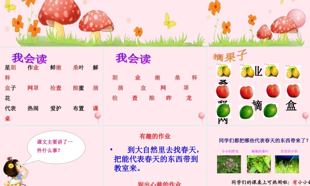 二年级语文下册 第一单元 第3课《有趣的作业》课件1 语文S版-语文S版小学二年级下册语文课件