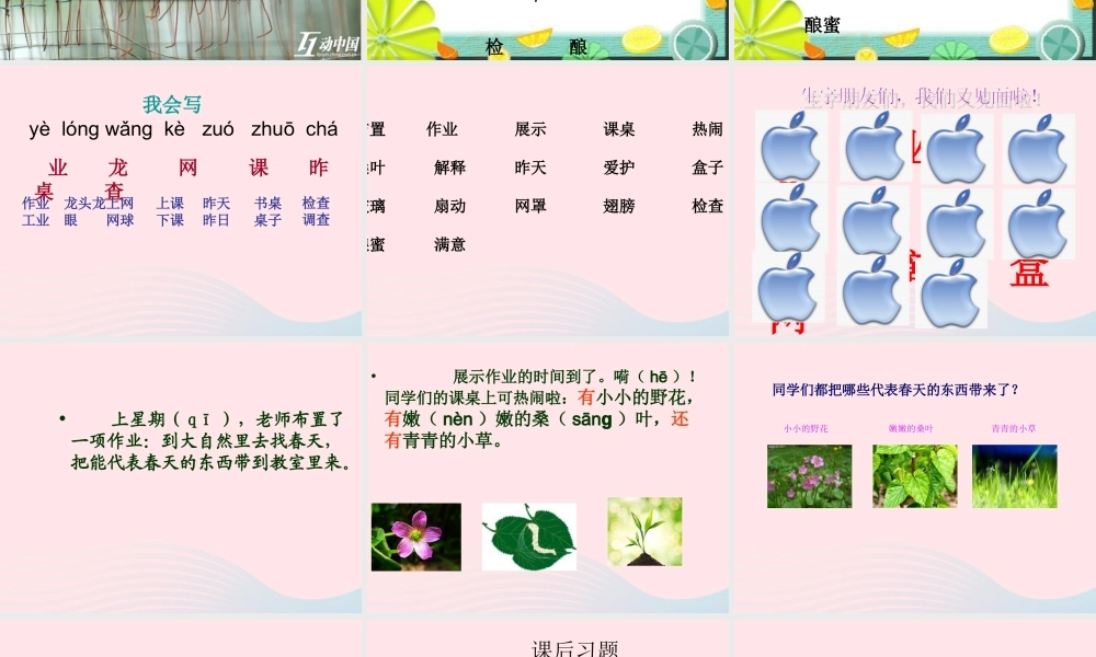 二年级语文下册 第一单元 第3课《有趣的作业》课件2 语文S版-语文S版小学二年级下册语文课件