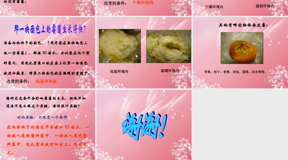 五年级科学上册 发霉 1课件 首师大版