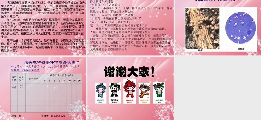 五年级科学上册 发霉 2课件 首师大版