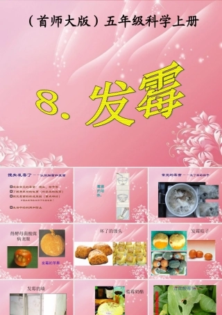 五年级科学上册 发霉 2课件 首师大版