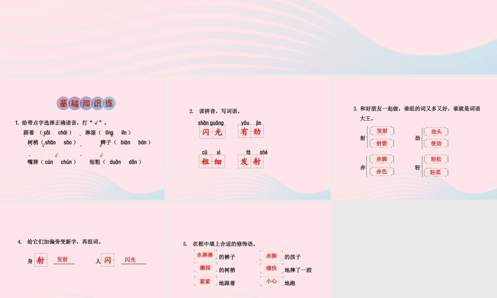 二年级语文下册 课文6 第24课《雨后》习题课件 苏教版（A组-基础篇）课件