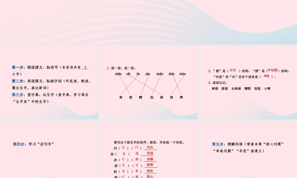 二年级语文下册 课文6 第24课《雨后》习题课件 苏教版课前预习课件