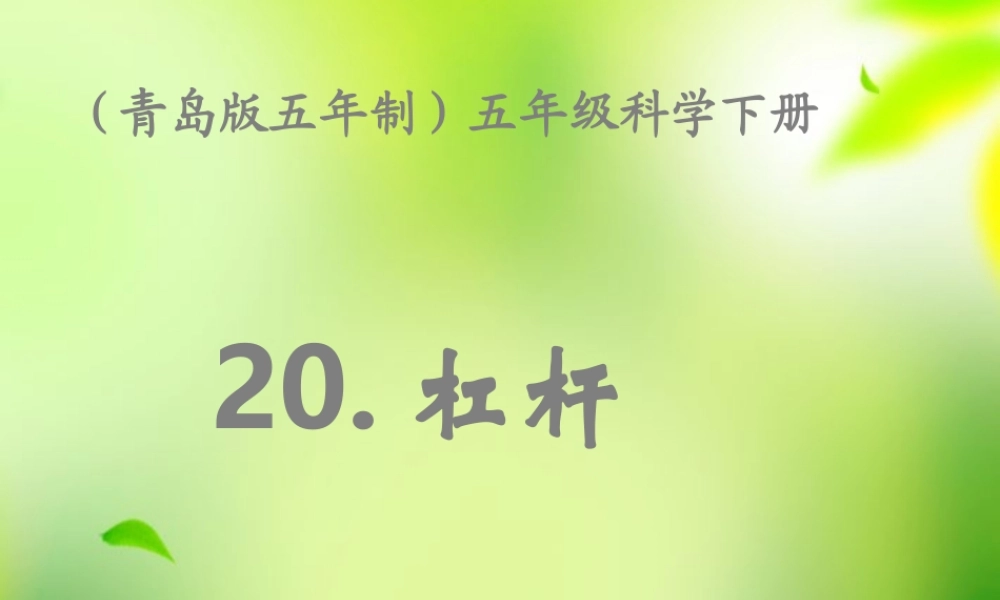五年级科学上册 杠杆 2课件 青岛版