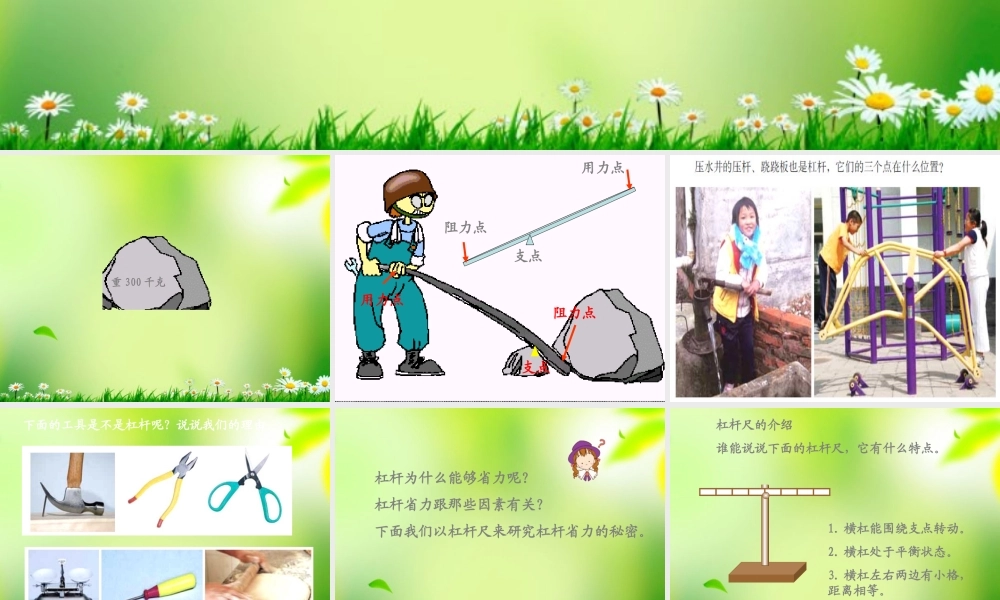 五年级科学上册 杠杆 2课件 青岛版