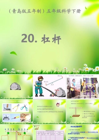 五年级科学上册 杠杆 2课件 青岛版