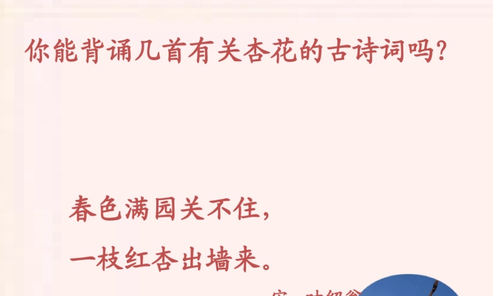 二年级语文下册 第一单元 第4课《第一朵杏花》课件1 北京版-北京版小学二年级下册语文课件