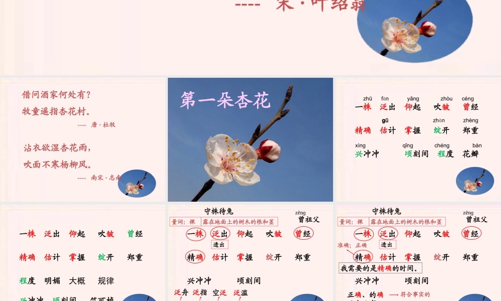二年级语文下册 第一单元 第4课《第一朵杏花》课件1 北京版-北京版小学二年级下册语文课件