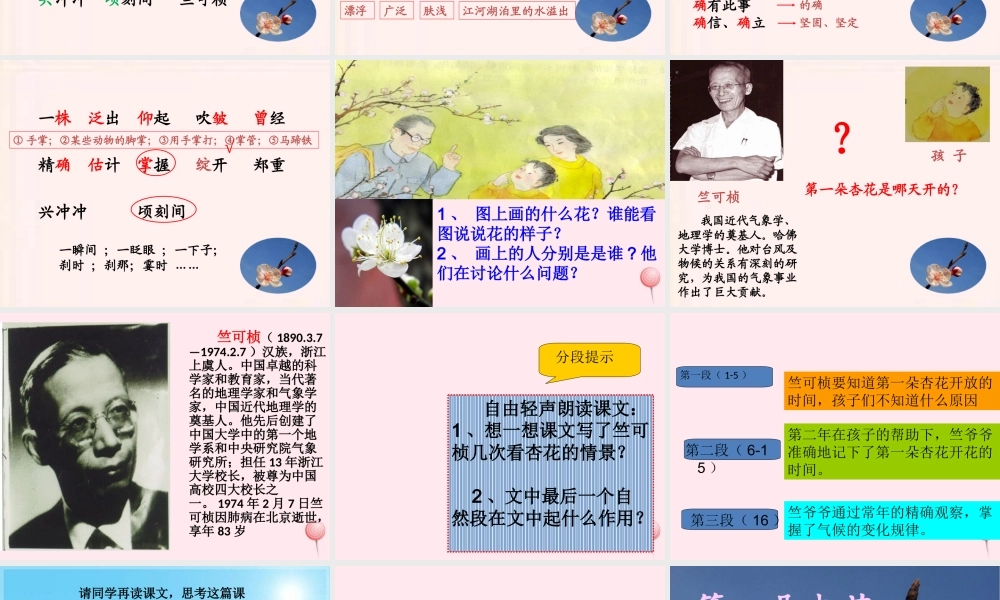 二年级语文下册 第一单元 第4课《第一朵杏花》课件1 北京版-北京版小学二年级下册语文课件