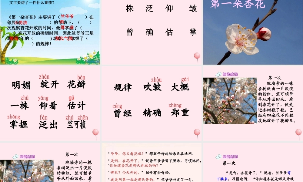 二年级语文下册 第一单元 第4课《第一朵杏花》课件1 北京版-北京版小学二年级下册语文课件