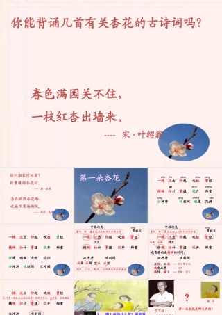 二年级语文下册 第一单元 第4课《第一朵杏花》课件1 北京版-北京版小学二年级下册语文课件