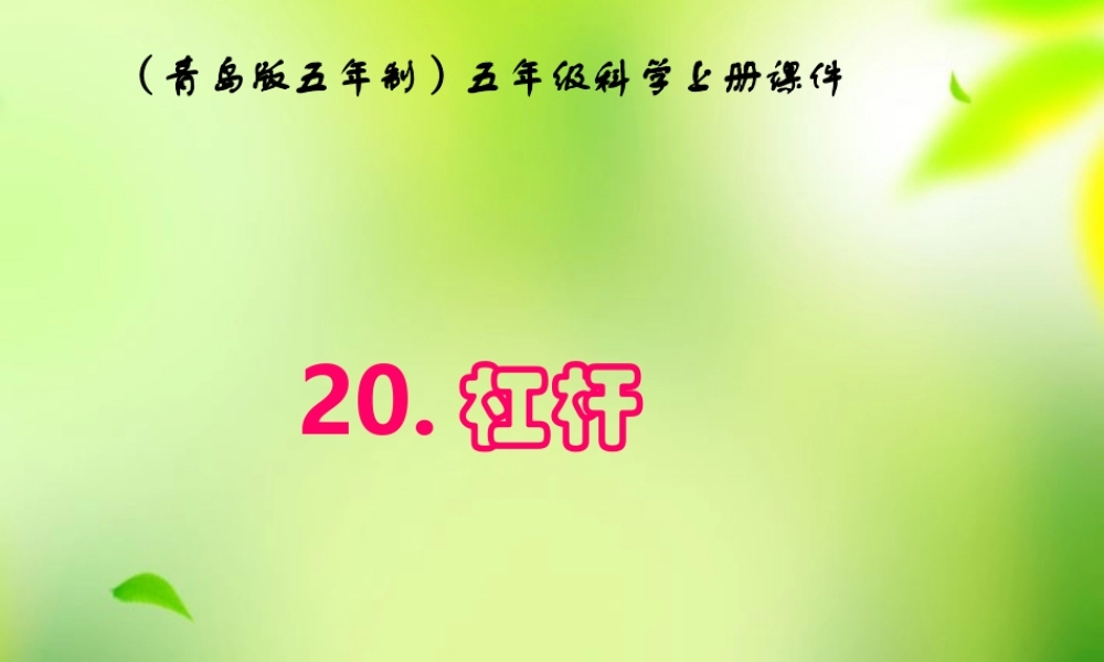五年级科学上册 杠杆 3课件 青岛版