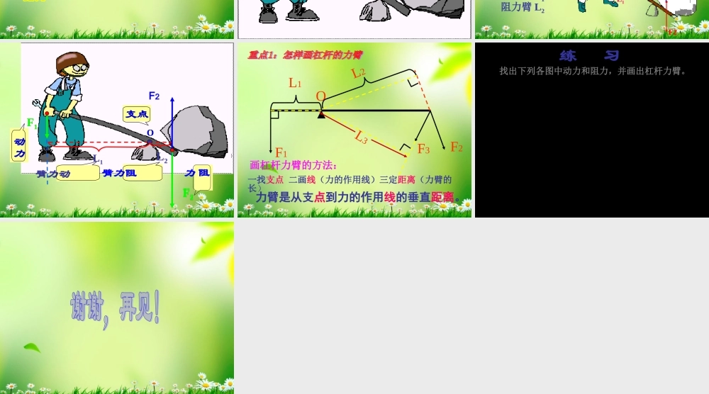 五年级科学上册 杠杆 3课件 青岛版