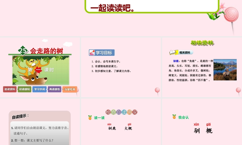 二年级语文下册 课文6 第25课《会走路的树》（第1课时）课件 苏教版-苏教版小学二年级下册语文课件