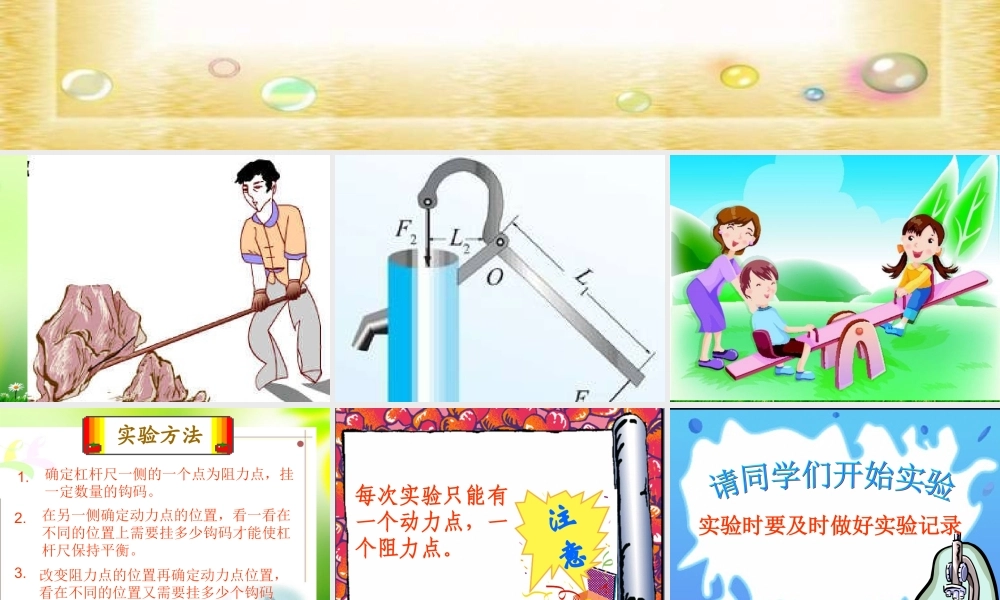 五年级科学上册 杠杆 9课件 青岛版