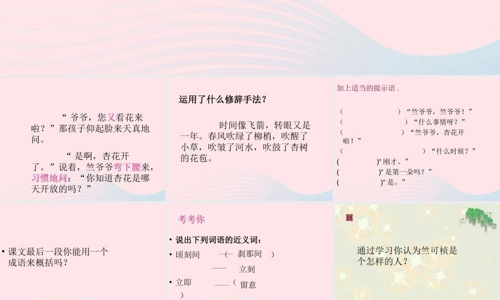 二年级语文下册 第一单元 第4课《第一朵杏花》课件2 北京版-北京版小学二年级下册语文课件