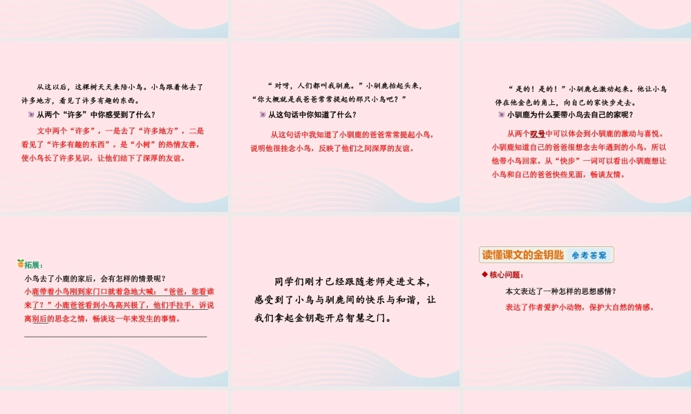 二年级语文下册 课文6 第25课《会走路的树》（第2课时）课件 苏教版-苏教版小学二年级下册语文课件