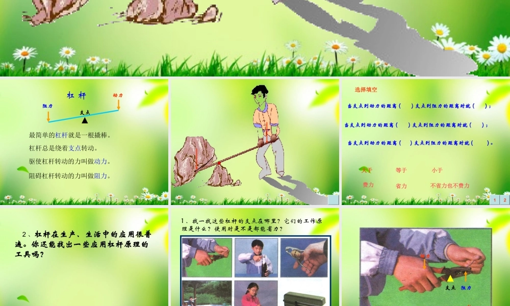 五年级科学上册 杠杆 10课件 青岛版