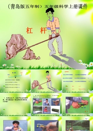 五年级科学上册 杠杆 10课件 青岛版