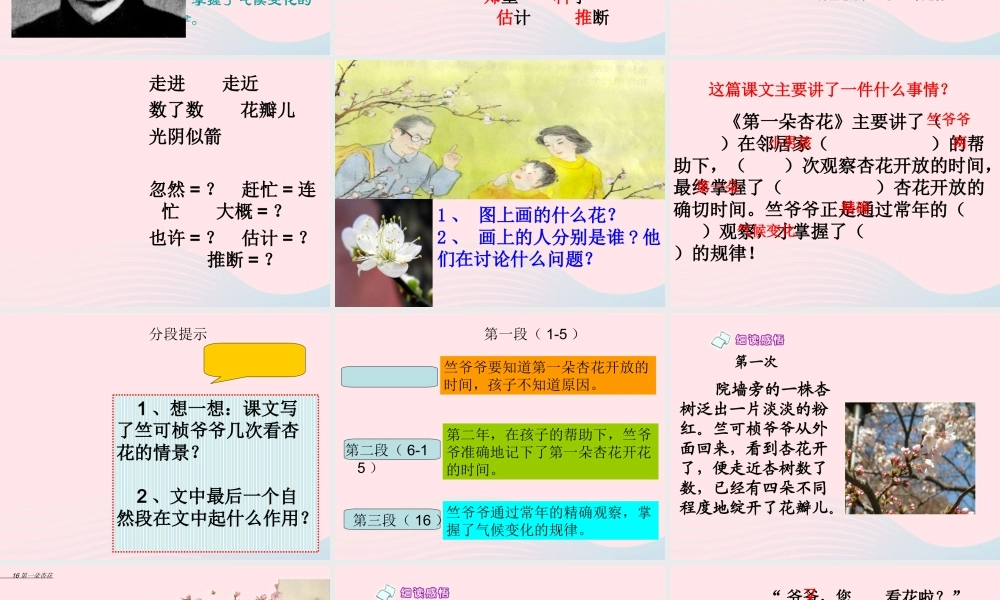 二年级语文下册 第一单元 第4课《第一朵杏花》课件3 北京版-北京版小学二年级下册语文课件