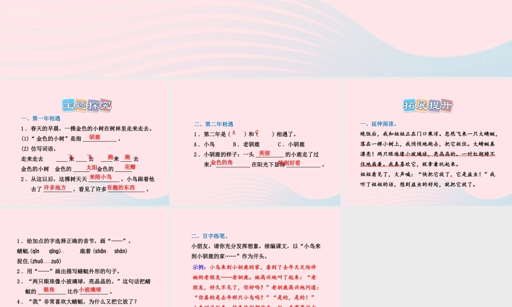 二年级语文下册 课文6 第25课《会走路的树》习题课件 苏教版（B组-提升篇）课件