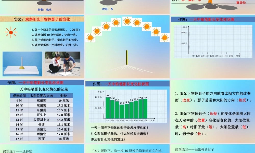 五年级科学上册 光 2阳光下的影子课件 教科版-教科版小学五年级上册自然科学课件