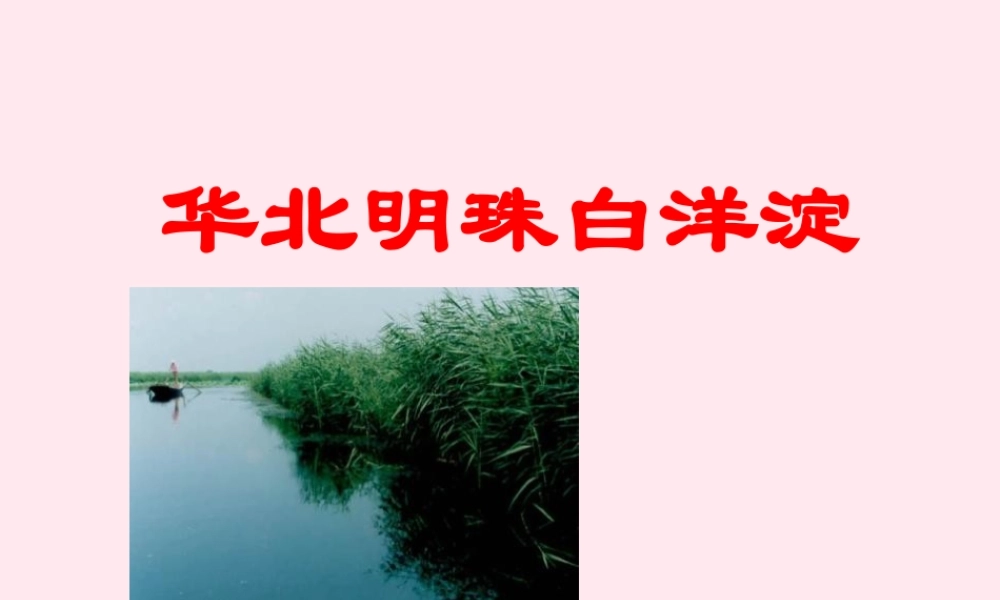 二年级语文下册 第一单元 第4课《华北明珠白洋淀》课件 冀教版-冀教版小学二年级下册语文课件