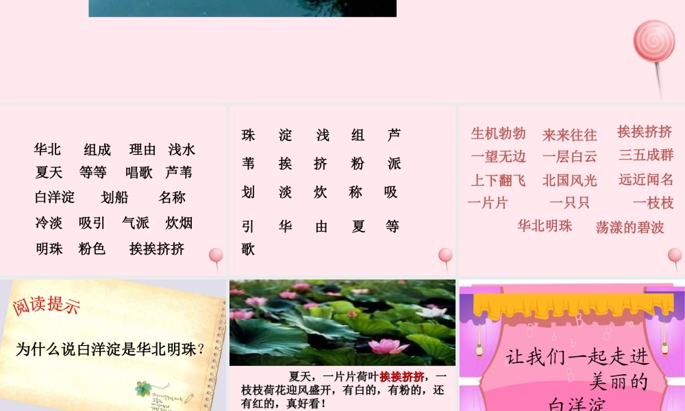 二年级语文下册 第一单元 第4课《华北明珠白洋淀》课件 冀教版-冀教版小学二年级下册语文课件