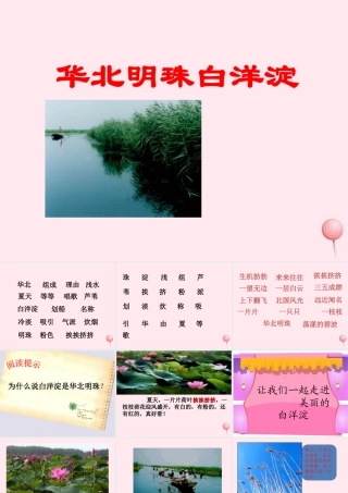 二年级语文下册 第一单元 第4课《华北明珠白洋淀》课件 冀教版-冀教版小学二年级下册语文课件