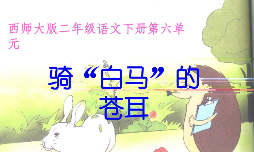 二年级语文下册 课文4 16 骑“白马”的苍耳教学课件 西师大版-西师大版小学二年级下册语文课件