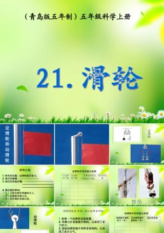 五年级科学上册 滑轮 1课件 青岛版