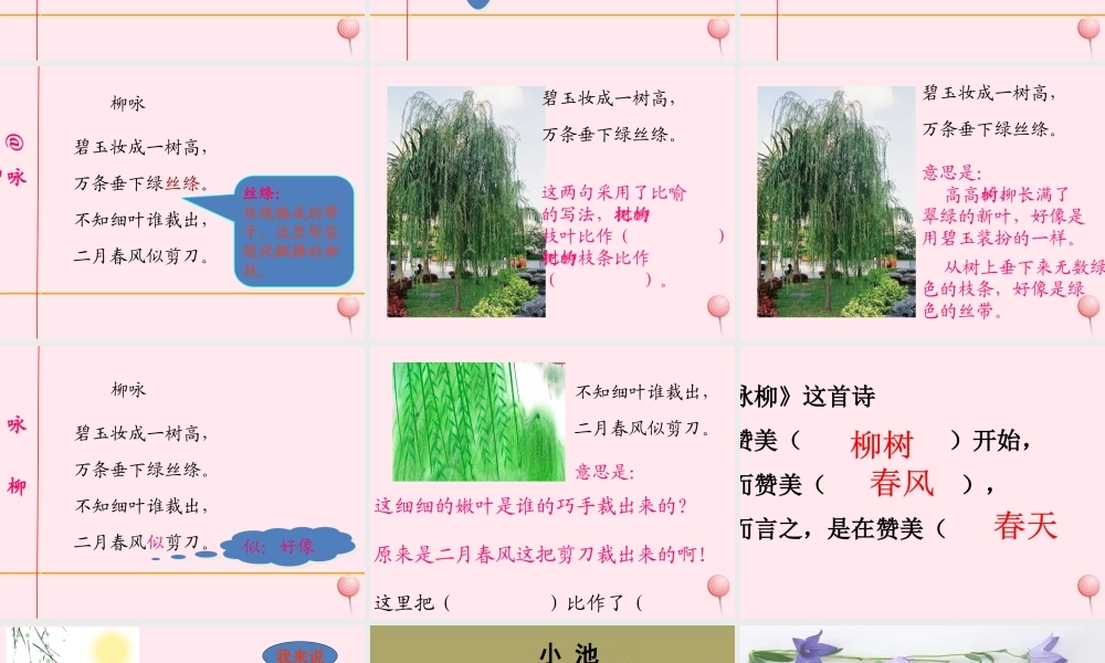 二年级语文下册 第一单元 第4课《咏柳》《小池》课件1 语文S版-语文S版小学二年级下册语文课件
