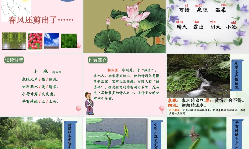 二年级语文下册 第一单元 第4课《咏柳》《小池》课件1 语文S版-语文S版小学二年级下册语文课件