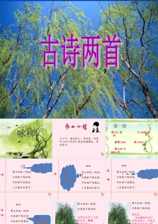 二年级语文下册 第一单元 第4课《咏柳》《小池》课件1 语文S版-语文S版小学二年级下册语文课件