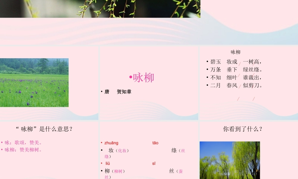 二年级语文下册 第一单元 第4课《咏柳》《小池》课件2 语文S版-语文S版小学二年级下册语文课件